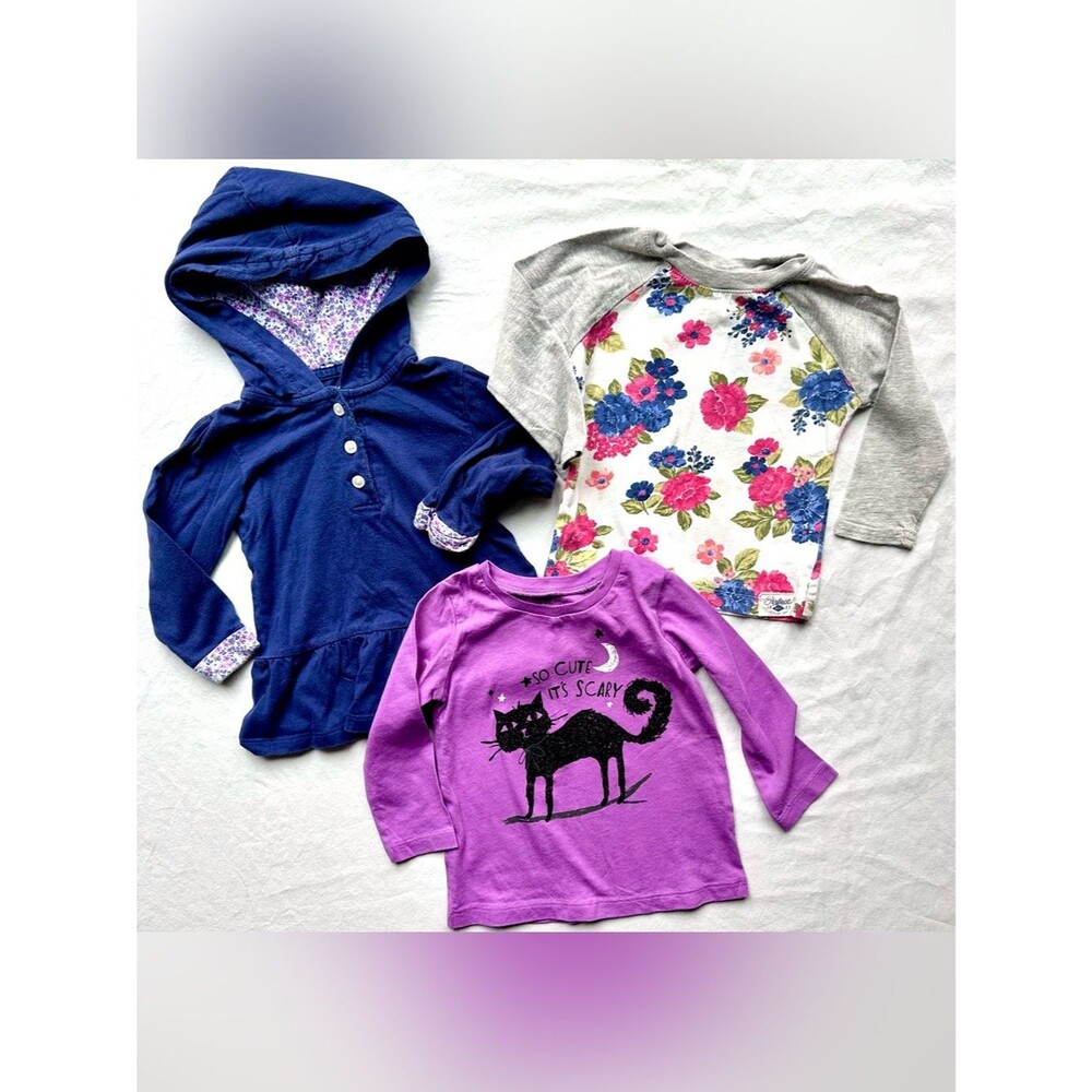 Carter’s & OshKosh B’Gosh Girls Long Sleeve Tops Lot – Size 12M